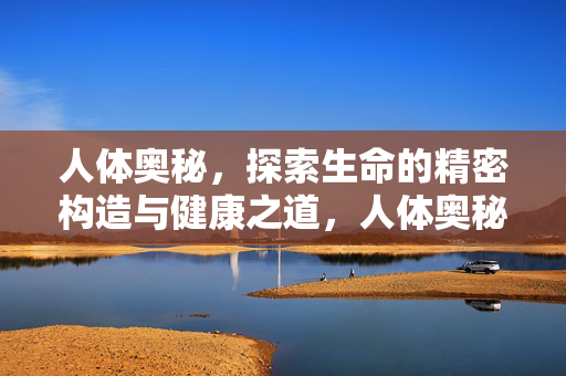 人体奥秘,探索生命的精密构造与健康之道,人体奥秘,精密构造与健康之道 人体奥秘,探索生命的精密构造与健康之道,人体奥秘,精密构造与健康之道