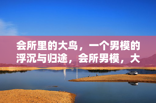 会所里的大鸟,一个男模的浮沉与归途,会所男模,大鸟的浮沉与归途 会所里的大鸟,一个男模的浮沉与归途,会所男模,大鸟的浮沉与归途