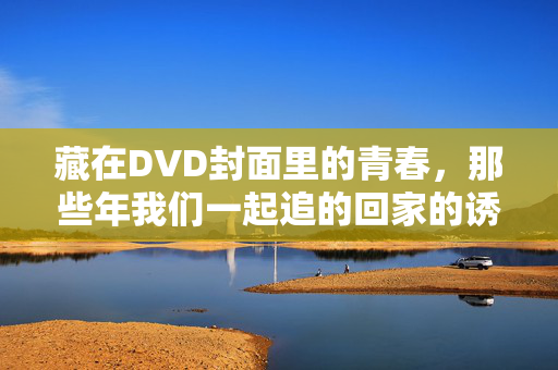 藏在DVD封面里的青春，那些年我们一起追的回家的诱惑，青春藏在DVD封面，那些年追回家的诱惑