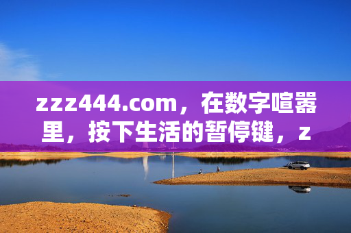 zzz444.com，在数字喧嚣里，按下生活的暂停键，zzz444.com，数字喧嚣里的生活暂停键
