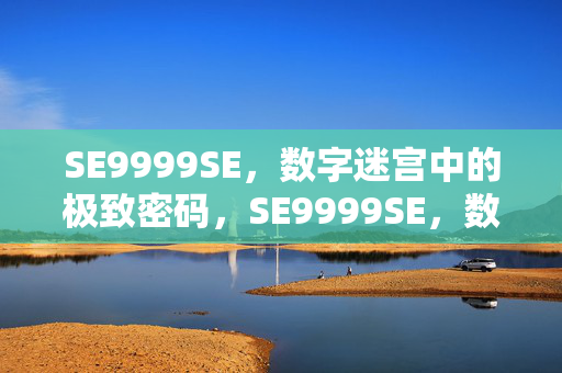 SE9999SE,数字迷宫中的极致密码,SE9999SE,数字迷宫中的极致密码 SE9999SE,数字迷宫中的极致密码,SE9999SE,数字迷宫中的极致密码