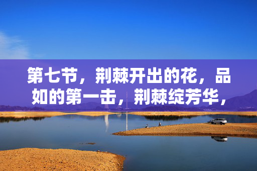 第七节,荆棘开出的花,品如的第一击,荆棘绽芳华,品如首击 第七节,荆棘开出的花,品如的第一击,荆棘绽芳华,品如首击