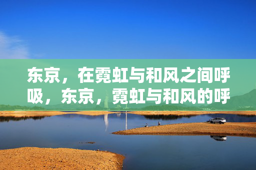 东京,在霓虹与和风之间呼吸,东京,霓虹与和风的呼吸 东京,在霓虹与和风之间呼吸,东京,霓虹与和风的呼吸