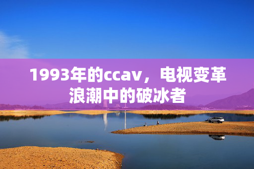 1993年的ccav,电视变革浪潮中的破冰者 1993年的ccav,电视变革浪潮中的破冰者