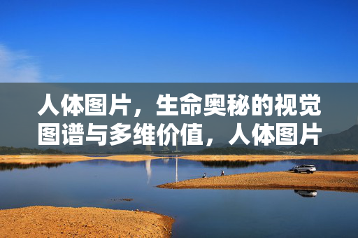 人体图片,生命奥秘的视觉图谱与多维价值,人体图片,生命奥秘的视觉图谱与多维价值 人体图片,生命奥秘的视觉图谱与多维价值,人体图片,生命奥秘的视觉图谱与多维价值