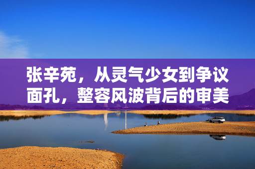 张辛苑,从灵气少女到争议面孔,整容风波背后的审美与选择,灵气少女到争议面孔,张辛苑整容风波中的审美与选择 张辛苑,从灵气少女到争议面孔,整容风波背后的审美与选择,灵气少女到争议面孔,张辛苑整容风波中的审美与选择