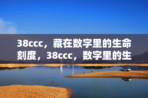 38ccc,藏在数字里的生命刻度,38ccc,数字里的生命刻度 38ccc,藏在数字里的生命刻度,38ccc,数字里的生命刻度