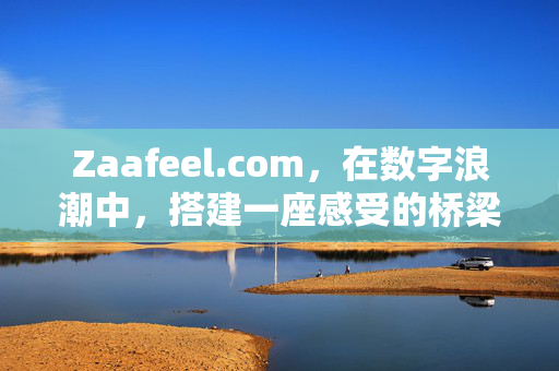 Zaafeel.com,在数字浪潮中,搭建一座感受的桥梁,Zaafeel.com,数字浪潮中的感受之桥 Zaafeel.com,在数字浪潮中,搭建一座感受的桥梁,Zaafeel.com,数字浪潮中的感受之桥