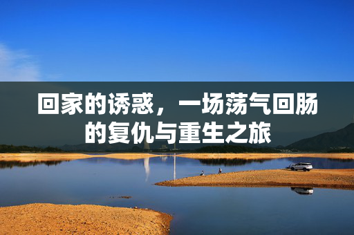 回家的诱惑,一场荡气回肠的复仇与重生之旅 回家的诱惑,一场荡气回肠的复仇与重生之旅