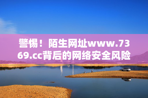 警惕!陌生网址www.7369.cc背后的网络安全风险,警惕!陌生网址www.7369.cc背后的网络安全风险 警惕!陌生网址www.7369.cc背后的网络安全风险,警惕!陌生网址www.7369.cc背后的网络安全风险