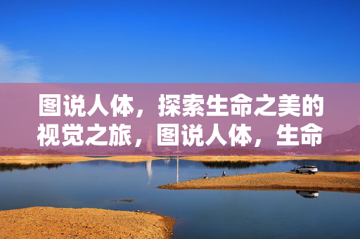 图说人体,探索生命之美的视觉之旅,图说人体,生命之美的视觉之旅 图说人体,探索生命之美的视觉之旅,图说人体,生命之美的视觉之旅