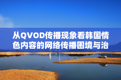 从QVOD传播现象看韩国情色内容的网络传播困境与治理,QVOD传播现象下韩国情色内容网络传播困境与治理 从QVOD传播现象看韩国情色内容的网络传播困境与治理,QVOD传播现象下韩国情色内容网络传播困境与治理