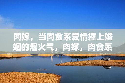 肉嫁,当肉食系爱情撞上婚姻的烟火气,肉嫁,肉食系爱情撞上婚姻烟火气 肉嫁,当肉食系爱情撞上婚姻的烟火气,肉嫁,肉食系爱情撞上婚姻烟火气