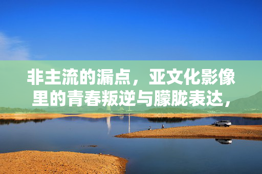 非主流的漏点,亚文化影像里的青春叛逆与朦胧表达,非主流影像里的青春叛逆与朦胧表达 非主流的漏点,亚文化影像里的青春叛逆与朦胧表达,非主流影像里的青春叛逆与朦胧表达