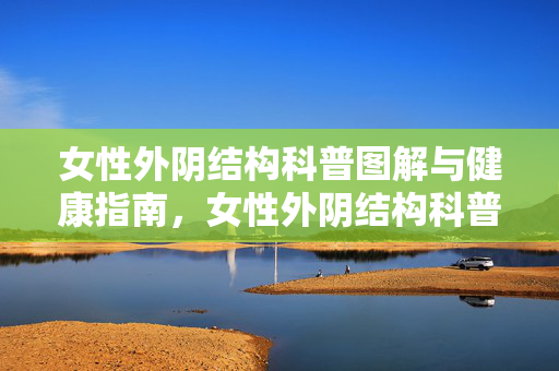 女性外阴结构科普图解与健康指南,女性外阴结构科普图解与健康指南 女性外阴结构科普图解与健康指南,女性外阴结构科普图解与健康指南