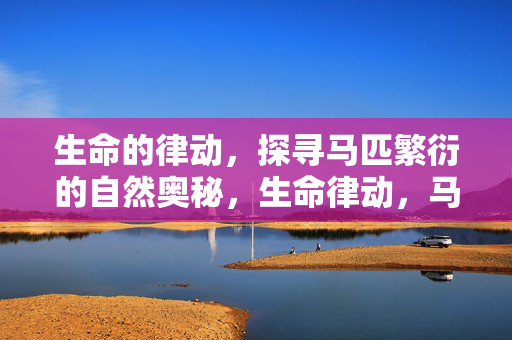 生命的律动，探寻马匹繁衍的自然奥秘，生命律动，马匹繁衍的自然奥秘