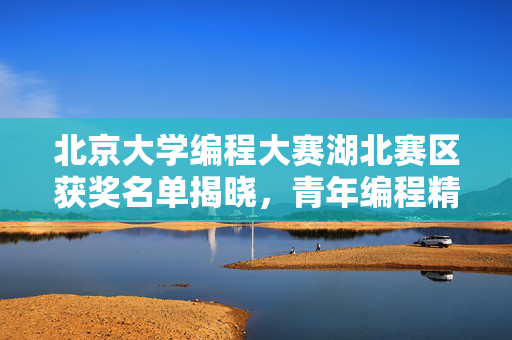 北京大学编程大赛湖北赛区获奖名单揭晓，青年编程精英展风采，北京大学编程大赛湖北赛区获奖名单揭晓 青年编程精英展风采