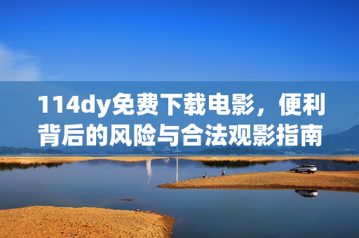 114dy免费下载电影,便利背后的风险与合法观影指南,免费下载电影,便利、风险与合法指南 114dy免费下载电影,便利背后的风险与合法观影指南,免费下载电影,便利、风险与合法指南