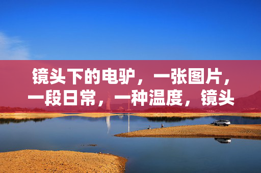 镜头下的电驴,一张图片,一段日常,一种温度,镜头下的电驴,日常的温度 镜头下的电驴,一张图片,一段日常,一种温度,镜头下的电驴,日常的温度