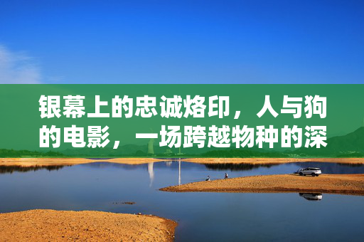 银幕上的忠诚烙印，人与狗的电影，一场跨越物种的深情对望，银幕忠犬，跨越物种的深情对望