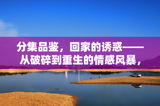 分集品鉴,回家的诱惑——从破碎到重生的情感风暴,回家的诱惑,破碎重生的情感风暴 分集品鉴,回家的诱惑——从破碎到重生的情感风暴,回家的诱惑,破碎重生的情感风暴