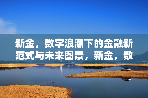 新金,数字浪潮下的金融新范式与未来图景,新金,数字浪潮下的金融新范式与未来图景 新金,数字浪潮下的金融新范式与未来图景,新金,数字浪潮下的金融新范式与未来图景