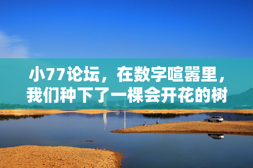 小77论坛,在数字喧嚣里,我们种下了一棵会开花的树,数字喧嚣里的开花树,小77论坛 小77论坛,在数字喧嚣里,我们种下了一棵会开花的树,数字喧嚣里的开花树,小77论坛