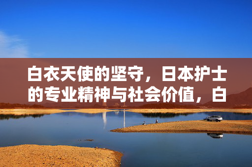 白衣天使的坚守，日本护士的专业精神与社会价值，白衣天使的坚守，日本护士的专业精神与社会价值