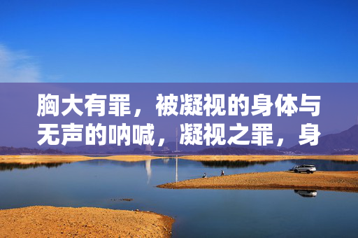 胸大有罪,被凝视的身体与无声的呐喊,凝视之罪,身体的无声呐喊 胸大有罪,被凝视的身体与无声的呐喊,凝视之罪,身体的无声呐喊