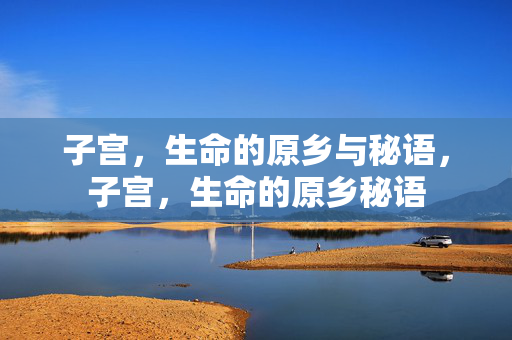 子宫,生命的原乡与秘语,子宫,生命的原乡秘语 子宫,生命的原乡与秘语,子宫,生命的原乡秘语