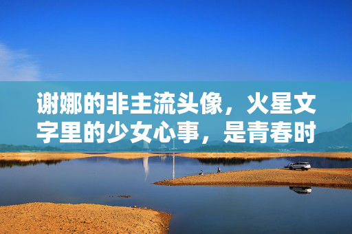 谢娜的非主流头像,火星文字里的少女心事,是青春时代的快乐密码,谢娜的非主流头像与火星文字,青春时代的快乐密码 谢娜的非主流头像,火星文字里的少女心事,是青春时代的快乐密码,谢娜的非主流头像与火星文字,青春时代的快乐密码