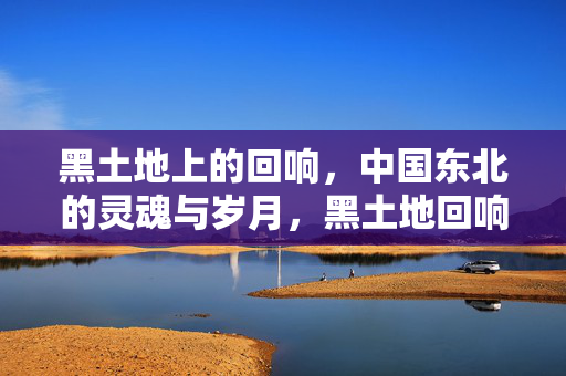 黑土地上的回响,中国东北的灵魂与岁月,黑土地回响,东北灵魂与岁月 黑土地上的回响,中国东北的灵魂与岁月,黑土地回响,东北灵魂与岁月