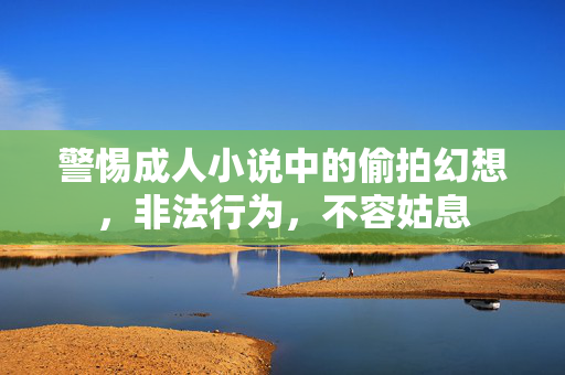 警惕成人小说中的偷拍幻想,非法行为,不容姑息 警惕成人小说中的偷拍幻想,非法行为,不容姑息