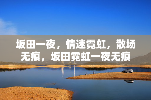 坂田一夜,情迷霓虹,散场无痕,坂田霓虹一夜无痕 坂田一夜,情迷霓虹,散场无痕,坂田霓虹一夜无痕