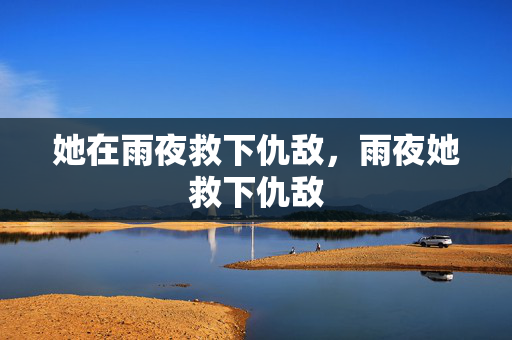 她在雨夜救下仇敌,雨夜她救下仇敌 她在雨夜救下仇敌,雨夜她救下仇敌