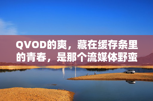QVOD的爽,藏在缓存条里的青春,是那个流媒体野蛮生长的夏日回响,QVOD缓存里的青春,流媒体野蛮生长的夏日回响 QVOD的爽,藏在缓存条里的青春,是那个流媒体野蛮生长的夏日回响,QVOD缓存里的青春,流媒体野蛮生长的夏日回响