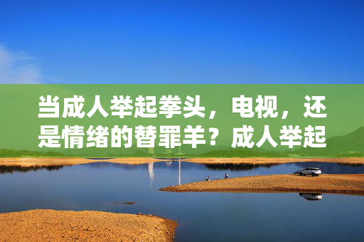 当成人举起拳头,电视,还是情绪的替罪羊?成人举起拳头,电视,情绪的替罪羊? 当成人举起拳头,电视,还是情绪的替罪羊?成人举起拳头,电视,情绪的替罪羊?