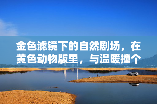 金色滤镜下的自然剧场,在黄色动物版里,与温暖撞个满怀,温暖撞进金色自然剧场 金色滤镜下的自然剧场,在黄色动物版里,与温暖撞个满怀,温暖撞进金色自然剧场