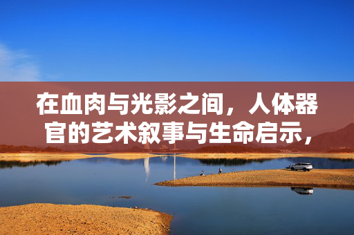 在血肉与光影之间,人体器官的艺术叙事与生命启示,血肉光影,人体器官的艺术叙事与生命启示 在血肉与光影之间,人体器官的艺术叙事与生命启示,血肉光影,人体器官的艺术叙事与生命启示