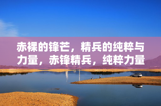 赤裸的锋芒,精兵的纯粹与力量,赤锋精兵,纯粹力量 赤裸的锋芒,精兵的纯粹与力量,赤锋精兵,纯粹力量
