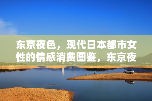 东京夜色,现代日本都市女性的情感消费图鉴,东京夜色,现代日本都市女性情感消费图鉴 东京夜色,现代日本都市女性的情感消费图鉴,东京夜色,现代日本都市女性情感消费图鉴