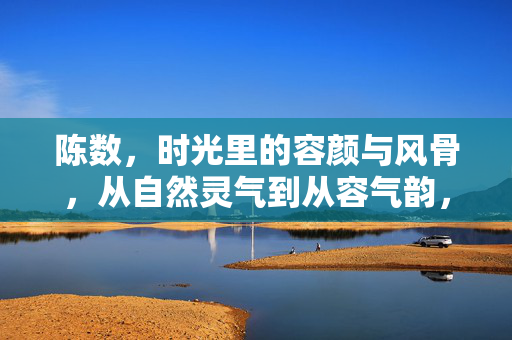 陈数,时光里的容颜与风骨,从自然灵气到从容气韵,时光里的陈数,容颜风骨与从容气韵 陈数,时光里的容颜与风骨,从自然灵气到从容气韵,时光里的陈数,容颜风骨与从容气韵