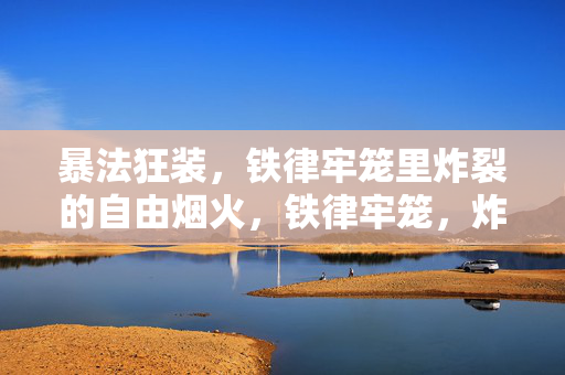 暴法狂装,铁律牢笼里炸裂的自由烟火,铁律牢笼,炸裂的自由烟火 暴法狂装,铁律牢笼里炸裂的自由烟火,铁律牢笼,炸裂的自由烟火