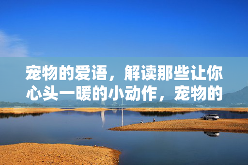 宠物的爱语,解读那些让你心头一暖的小动作,宠物的暖心爱语,小动作里的温暖 宠物的爱语,解读那些让你心头一暖的小动作,宠物的暖心爱语,小动作里的温暖