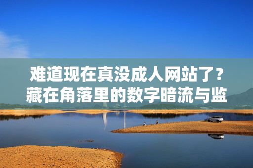 难道现在真没成人网站了?藏在角落里的数字暗流与监管博弈,数字暗流中的成人网站与监管博弈 难道现在真没成人网站了?藏在角落里的数字暗流与监管博弈,数字暗流中的成人网站与监管博弈