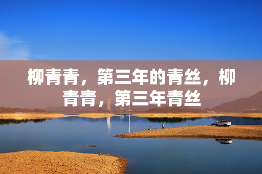 柳青青,第三年的青丝,柳青青,第三年青丝 柳青青,第三年的青丝,柳青青,第三年青丝
