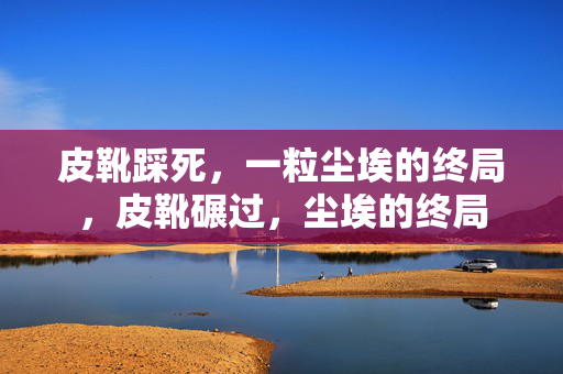 皮靴踩死，一粒尘埃的终局，皮靴碾过，尘埃的终局