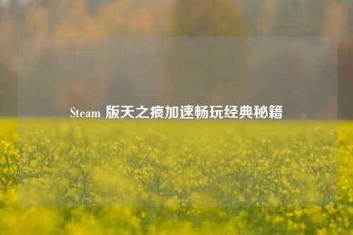 Steam 版天之痕加速畅玩经典秘籍