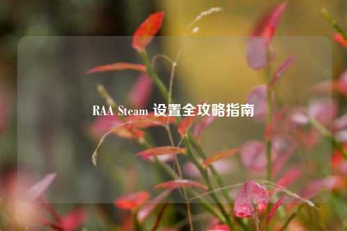 RAA Steam 设置全攻略指南