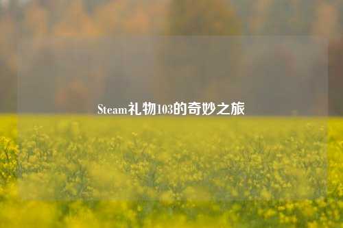 Steam礼物103的奇妙之旅